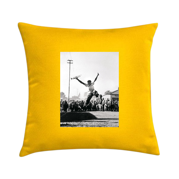 Hugh Cushion
